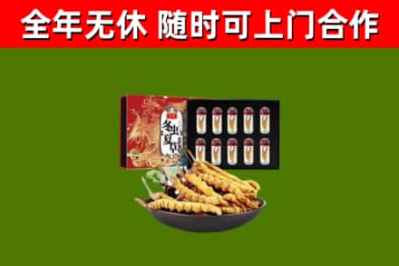 新林回收冬虫夏草价格