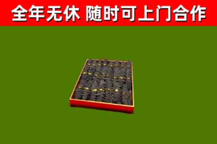 新林回收海参